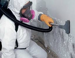 Mold Remediation for Rental Properties in Mammoth Spring, AR